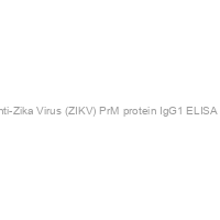 Recombivirus? Mouse Anti-Zika Virus (ZIKV) PrM protein IgG1 ELISA kit, 96 tests, Quantitative